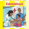 MASIHAMBISANE IBANGA R READER BK 10: EDOLOBHENI