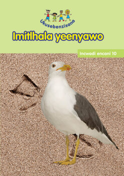 HAND IN HAND GRADE R (NDEBELE) READER 10