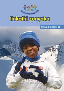 HAND IN HAND GRADE R (NDEBELE) READER 16