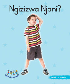 HAND IN HAND GRADE R (NDEBELE) PICTURE BK LEVEL 1 BK 2
