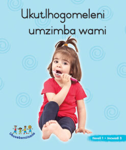 HAND IN HAND GRADE R (NDEBELE) PICTURE BK LEVEL 1 BK 3