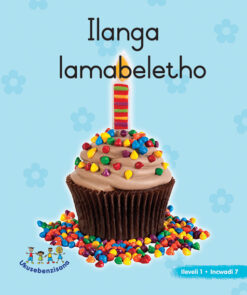 HAND IN HAND GRADE R (NDEBELE) PICTURE BK LEVEL 1 BK 7