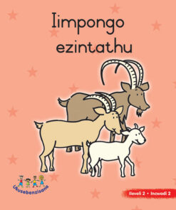 HAND IN HAND GRADE R (NDEBELE) PICTURE BK LEVEL 2 BK 2