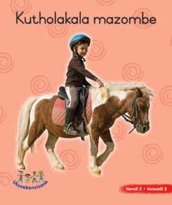 HAND IN HAND GRADE R (NDEBELE) PICTURE BK LEVEL 2 BK 3