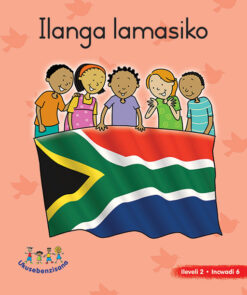 HAND IN HAND GRADE R (NDEBELE) PICTURE BK LEVEL 2 BK 6