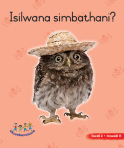 HAND IN HAND GRADE R (NDEBELE) PICTURE BK LEVEL 2 BK 11