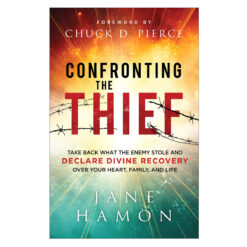 Confronting the Thief: Take Back What the Enemy Stole & Declare Divine Recovery PB
