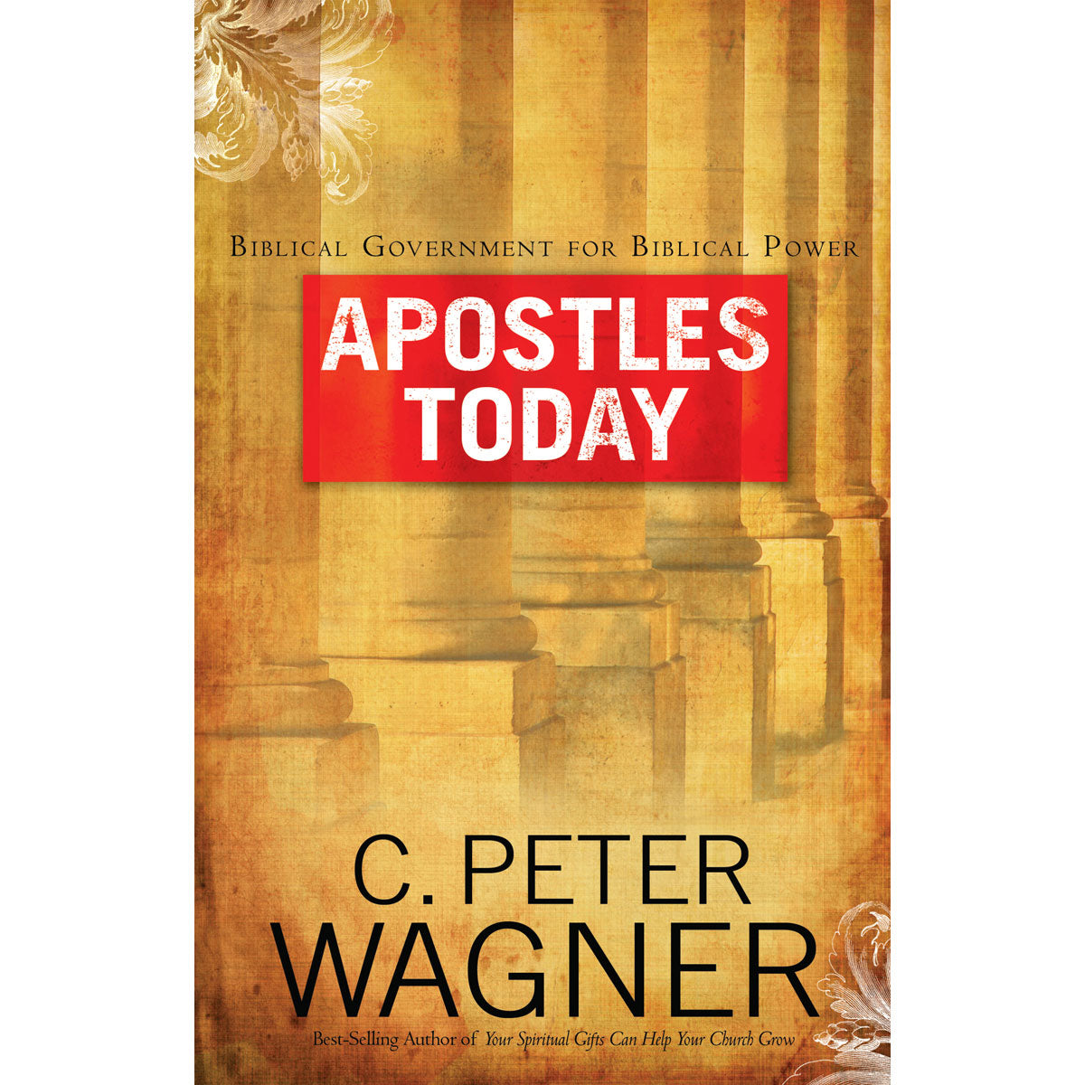 Apostles Today (Paperback)