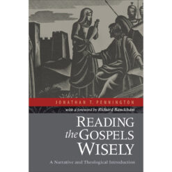 Reading The Gospels Wisely (Paperback)