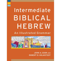 Intermediate Biblical Hebrew: An Illustrated Grammar (Paperback)