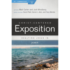 Exalting Jesus In John (Paperback)