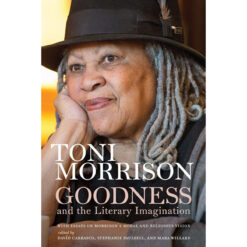 Goodness And The Literary Imagination (Hardcover)