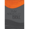 NIV Action Study Bible Premium Edition (Imitation Leather)