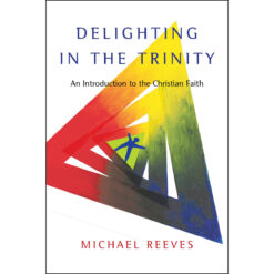 Delighting In The Trinity (Paperback)