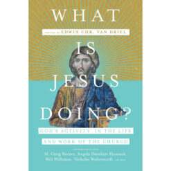 What Is Jesus Doing? (Paperback)
