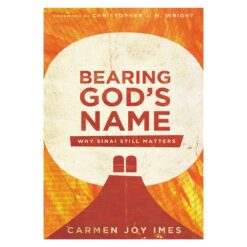 Bearing God's Name: Why Sinai Still Matters (Paperback)