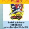 Abafundayo Ziinkokheli Ibanga 5: Iindidi Ezintlanu Zobugcisa Obutshintshe Ihlabathi