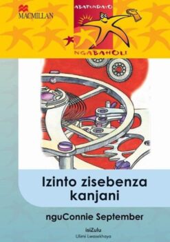 Abafundayo Ngabaholi Ibanga 5 Izinto Zisebenza Kanjani