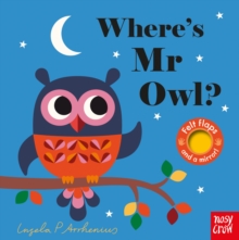 Where's Mr Owl? - 9780857637970