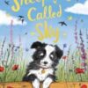 A Sheepdog Called Sky - 9780857639110