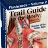 Trail Guide to the Body Flashcards Volume 2 : Muscles