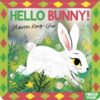 Hello Bunny! : A baby animal search-and-find mirror book - 9781035038275