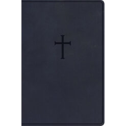 KJV Everyday Study Bible Cross Navy Cross (Imitation Leather)