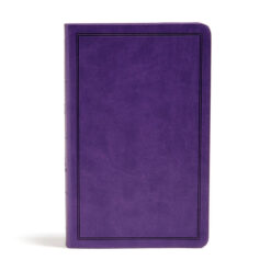 KJV Deluxe Gift Bible Purple (Imitation Leather)