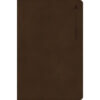 CSB Student Study Bible Brown (Imitation Leather)