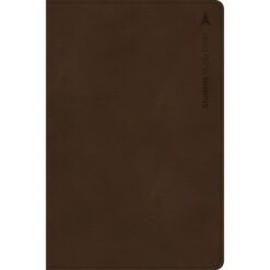 CSB Student Study Bible Indexed Brown (Imitation Leather)