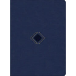 CSB Day-By-Day Chronological Bible Navy (Imitation Leather)