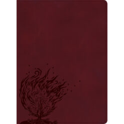 CSB Experiencing God Bible Indexed Burgundy (Imitation Leather)