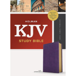 KJV Study Bible Full Colour Plum (Imitation Leather)