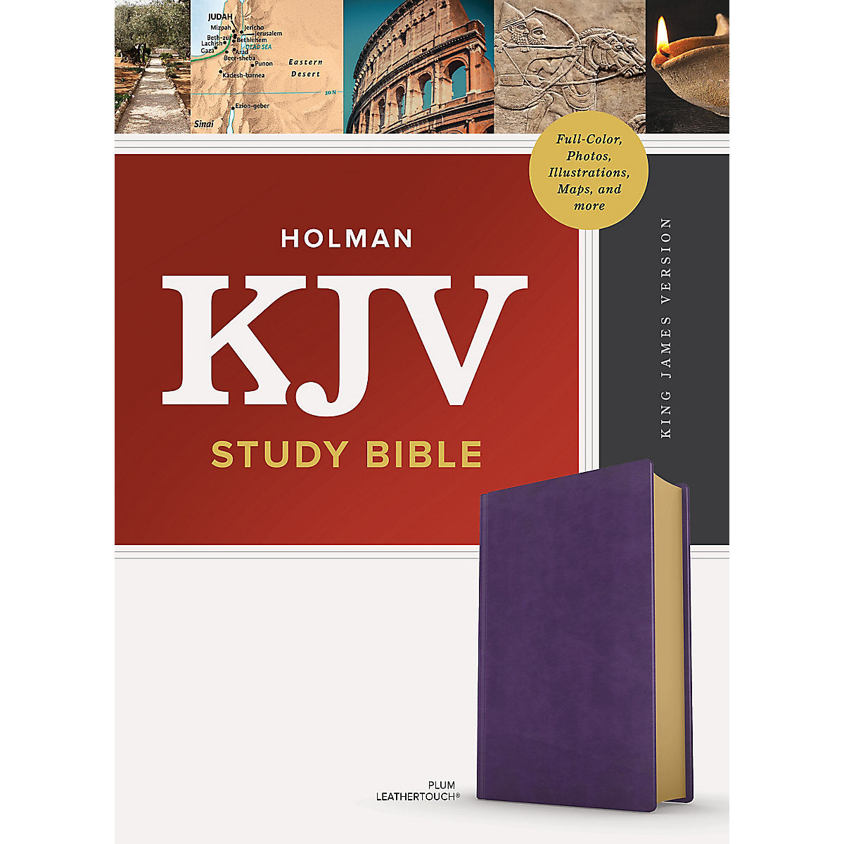 KJV Study Bible Full Colour Plum (Imitation Leather)
