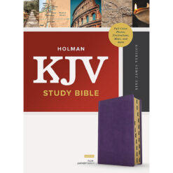 KJV Study Bible Full Colour Indexed Plum (Imitation Leather)