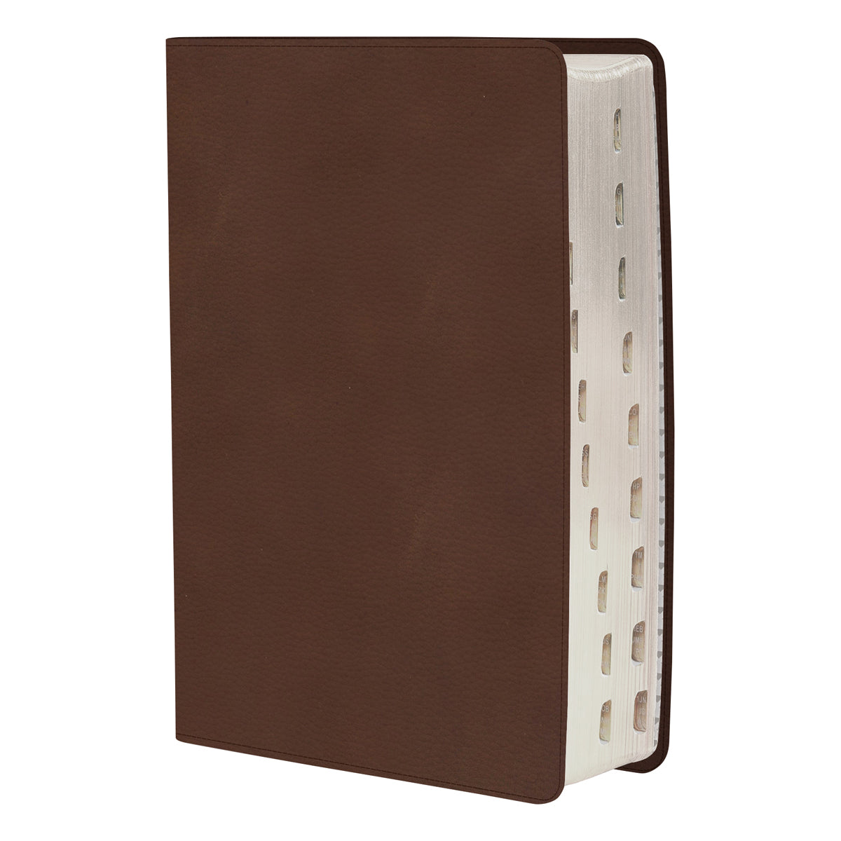 CSB Rainbow Study Bible Indexed Brown (Imitation Leather)