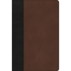 CSB Thinline Bible Large Print Black / Brown (Imitation Leather)