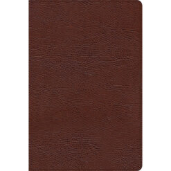 CSB Thinline Bible Large Print Indexed Brown (Imitation Leather)