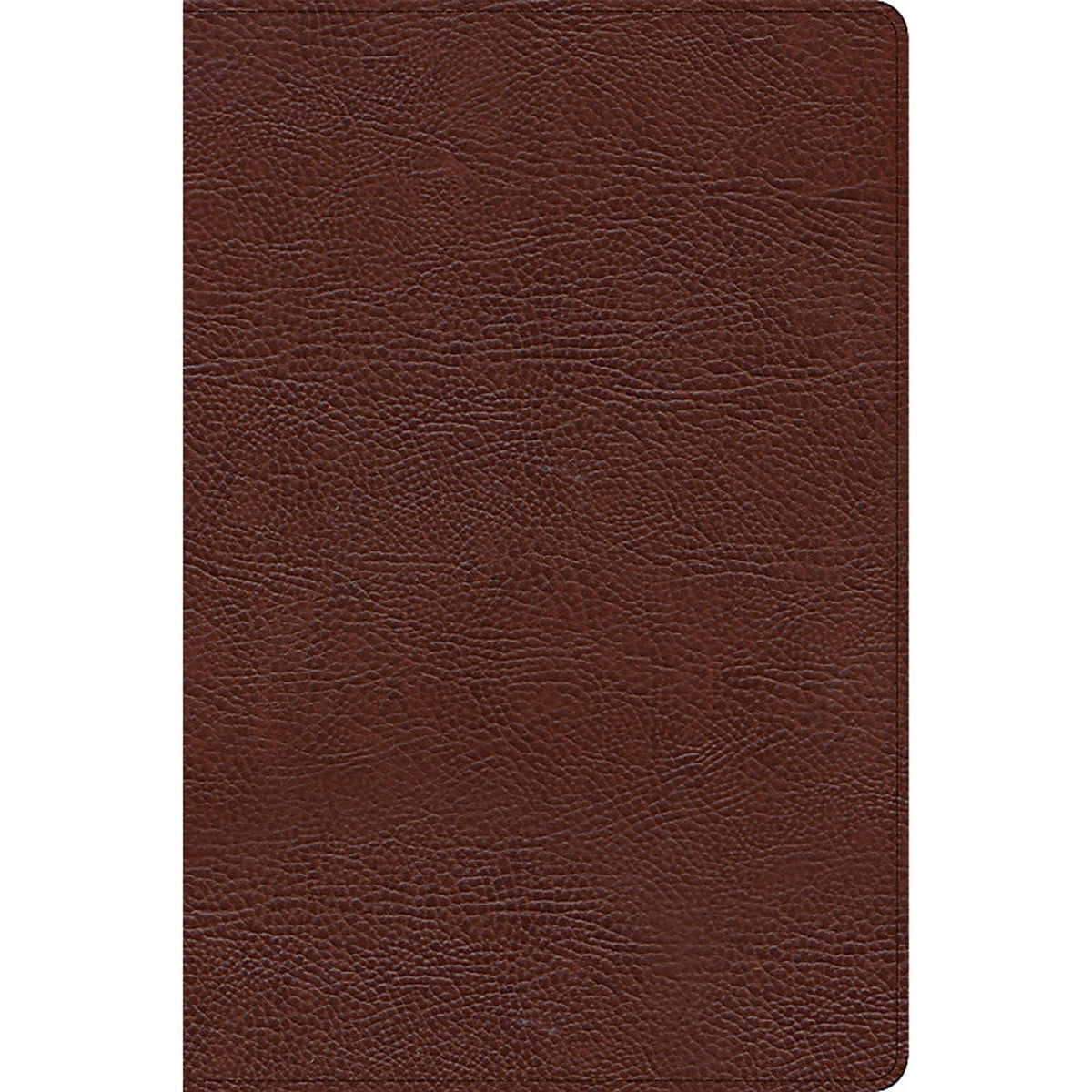 CSB Thinline Bible Large Print Indexed Brown (Imitation Leather)