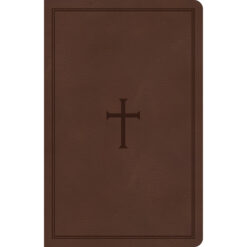 CSB Personal Size Reference Bible Large Print Brown (Imitation Leather)