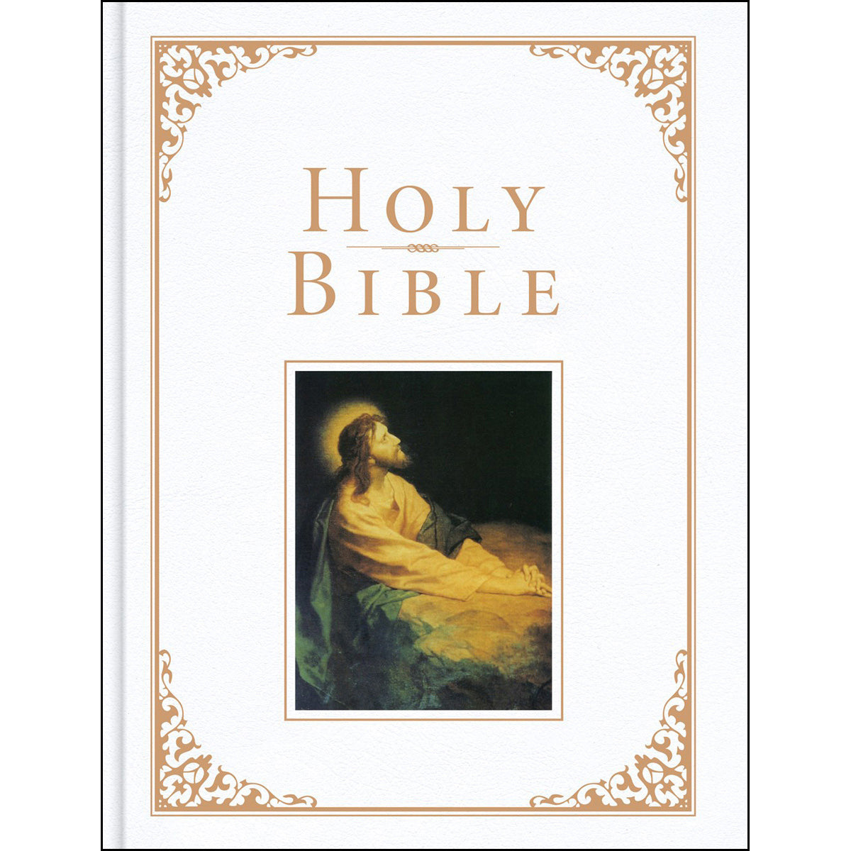 KJV Family Bible White (Imitation Leather)