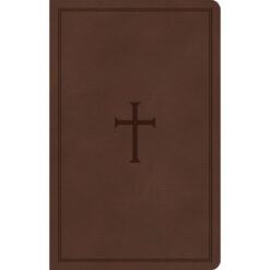 KJV Thinline Reference Bible Brown (Imitation Leather)