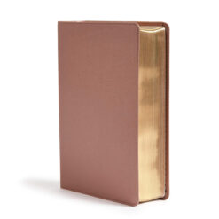 CSB Study Bible Rose Gold (Imitation Leather)