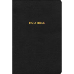 KJV Rainbow Study Bible Indexed Black (Imitation Leather)