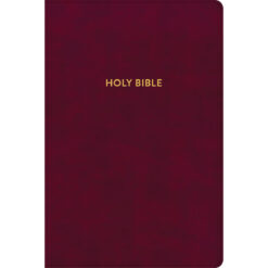 KJV Rainbow Study Bible Indexed Burgundy (Imitation Leather)