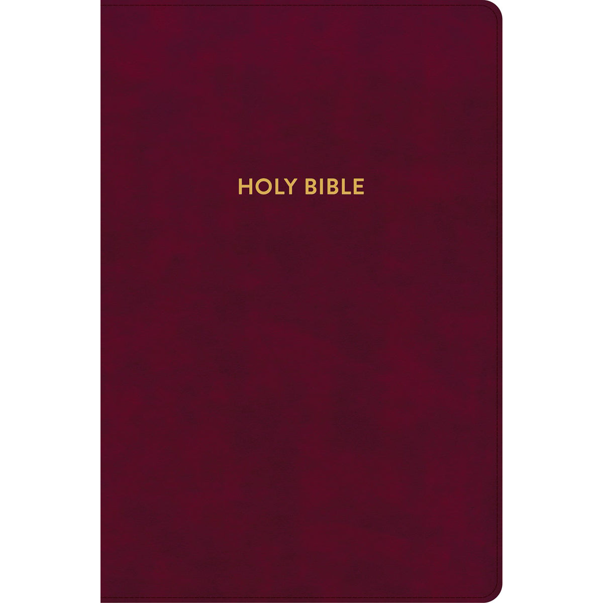 KJV Rainbow Study Bible Indexed Burgundy (Imitation Leather)