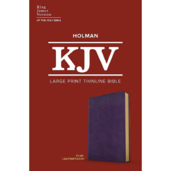 KJV Thinline Bible Large Print Plum (Imitation Leather)