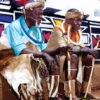 Latjhinga Emini (isiNdebele)