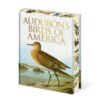 Audubon's Birds of America - 9781398850866