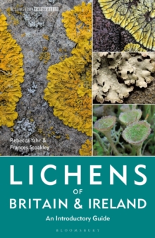 Lichens of Britain and Ireland : An Introductory Guide - 9781399404747